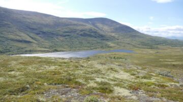 Furuhaugli Mehørunden