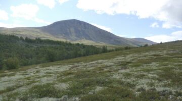 Furuhaugli Mehørunden