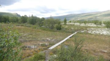 Furuhaugli Mehørunden