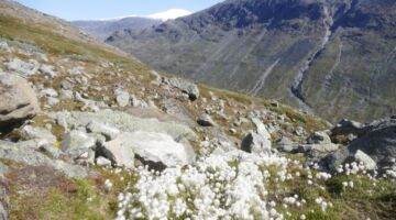 Wanderung Galdhøpiggen