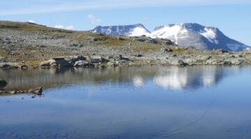 Sognefjellshytta