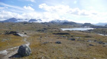 Sognefjell Mefjellstien