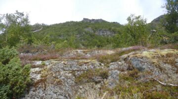 Luster Wanderung Børesteinen