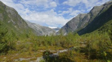 Nigardsbreen