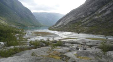 Nigardsbreen