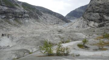 Nigardsbreen