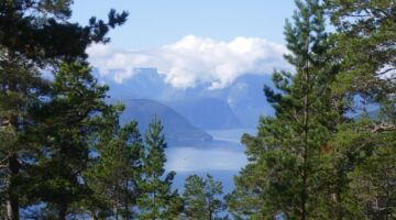 Wanderung Amlaholten