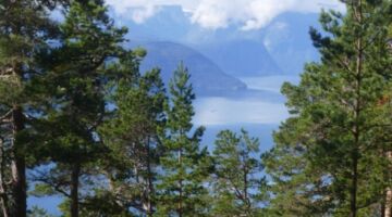 Wanderung Amlaholten