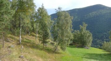 Sverrestigen