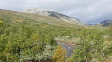 Sputrefossen