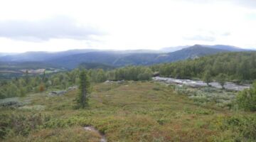 Slettefjellvegen