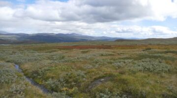 Slettefjellvegen